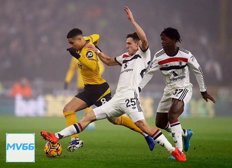 Thể thao MV66 - Không gian giải trí đỉnh cao cho tín đồ thể thao